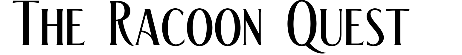 The Racoon Quest