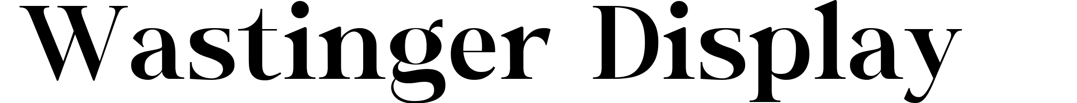 Wastinger Display