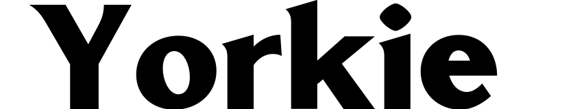Yorkie