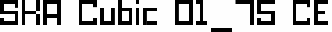 SKA Cubic 01_75 CE