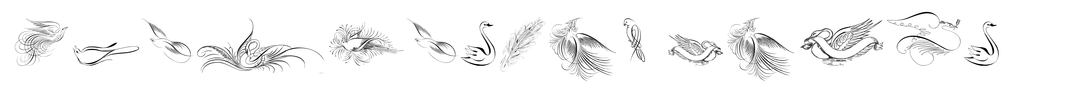 Penmanship Birds