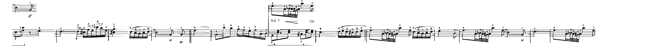 Nocturnal Experience