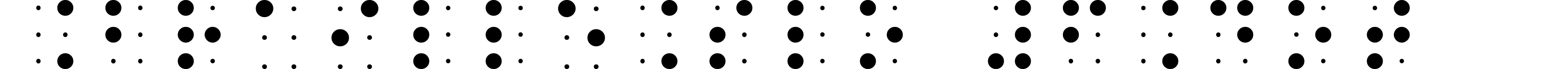 BrailleSlo 6Dot