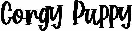Corgy Puppy