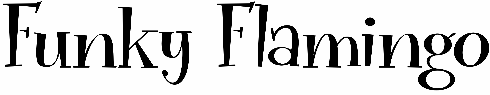 Funky Flamingo