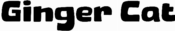Ginger Cat