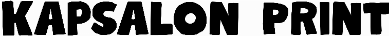 Kapsalon Print