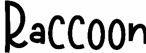 Raccoon