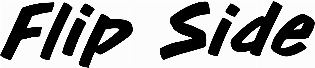Flip Side