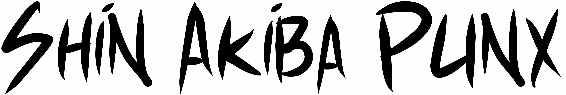 Shin Akiba Punx