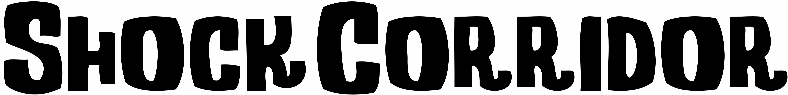 Shock Corridor
