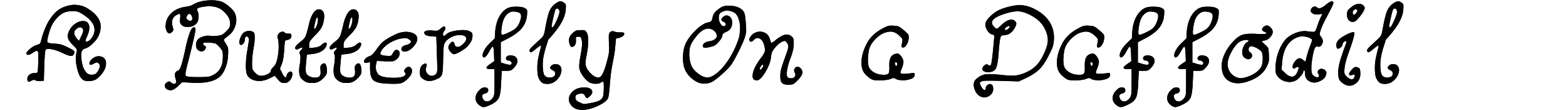 A Butterfly On a Daffodil