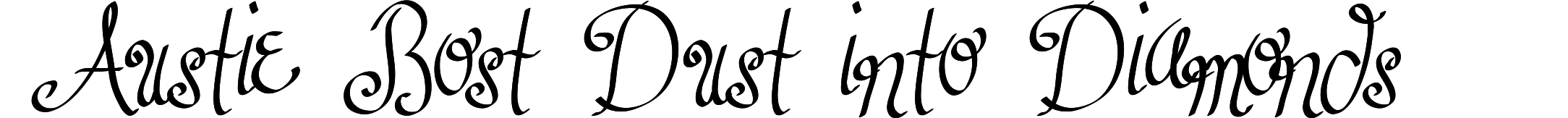 Austie Bost Dust into Diamonds