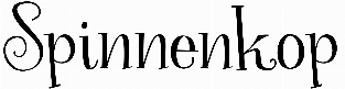 Spinnenkop