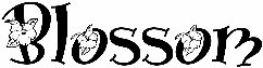 Blossom