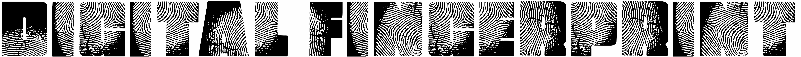 Digital Fingerprint