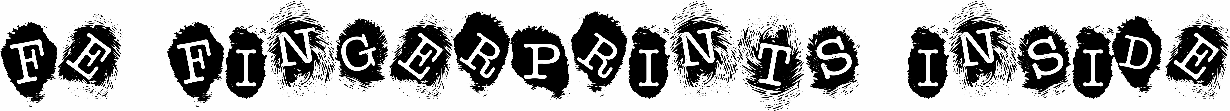 FE Fingerprints Inside
