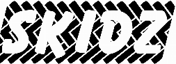 Skidz