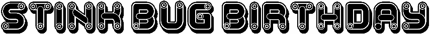Stink Bug Birthday