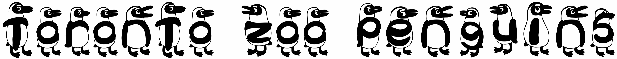 Toronto Zoo Penguins