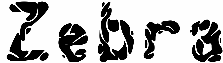 Zebra