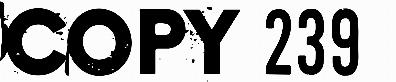 Copy 239