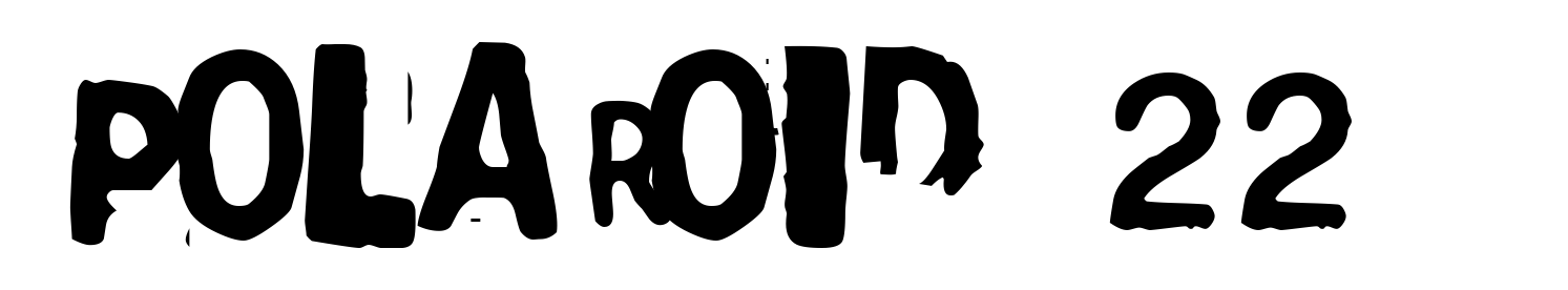 Polaroid 22