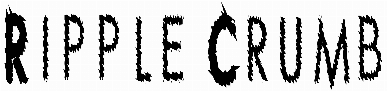 Ripple Crumb