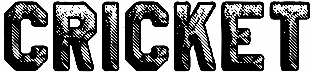 Cricket