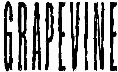 Grapevine