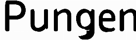 Pungen