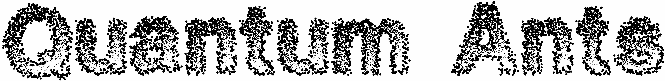 Quantum Ants