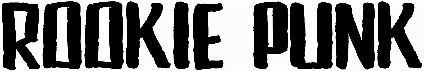 Rookie Punk