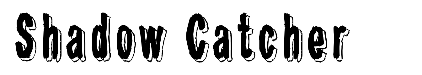 Shadow Catcher