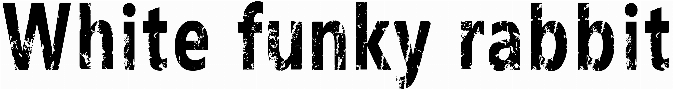 White funky rabbit