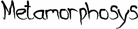 Metamorphosys