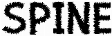 Spine