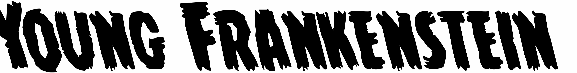 Young Frankenstein