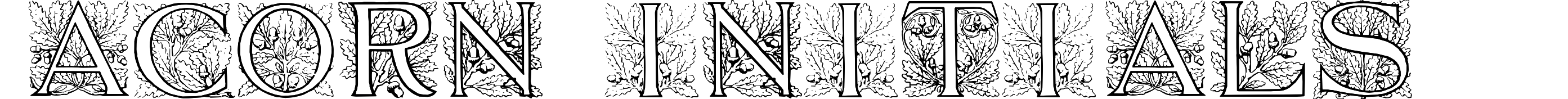 Acorn Initials