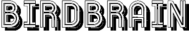 Birdbrain