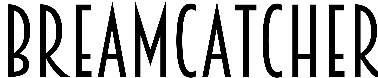 Breamcatcher