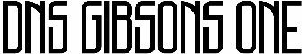 DNS Gibsons One