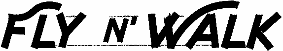 Fly n Walk