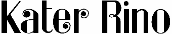 Kater Rino