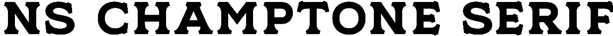 NS Champtone Serif