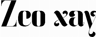 Zeo xay
