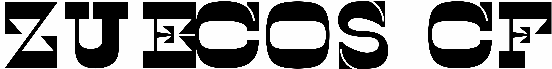 Zuecos CF