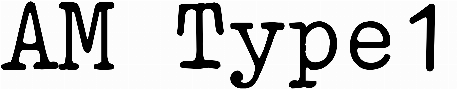 AM Type1