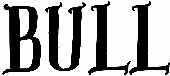 Bull