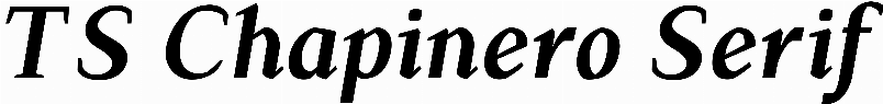 TS Chapinero Serif